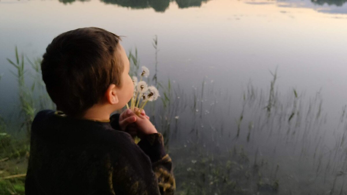 Сдувание одуванчиков — отличный релакс для уставшего от общения ребенка. Фото сделано мной в июне 2022 года.