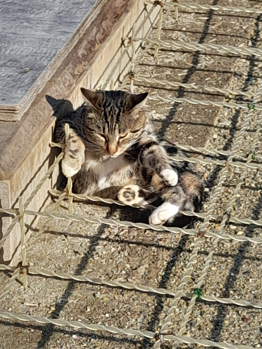 Увязка плиты 150мм была под личным контролем Пёстрого он же Пёся, использовал стеклоарматуру на углах обязательно её дублировать полукругом.