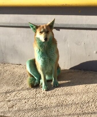 Питание и диета