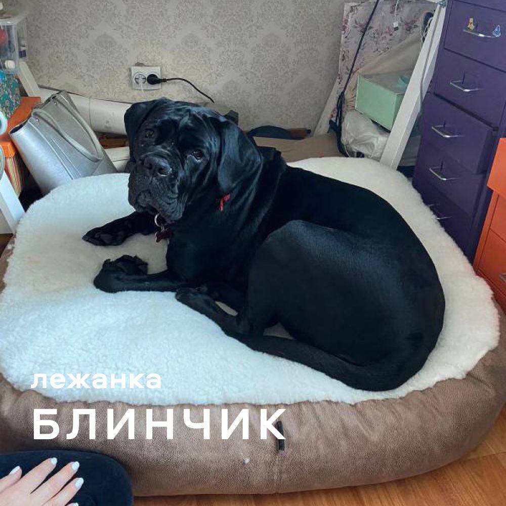 Блинчик 120*95