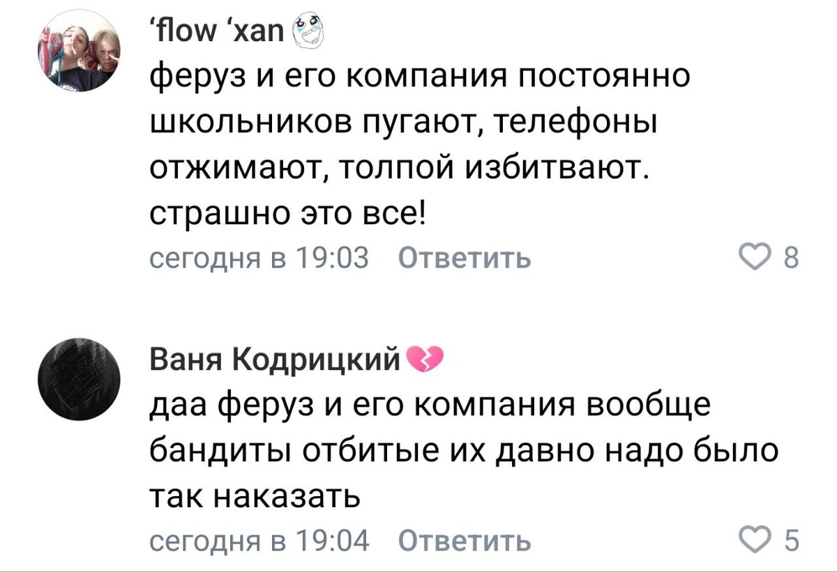 Парни, которые устроили драку с оружием в челябинской школе, уже нападали  на детей | Русский компас | Дзен