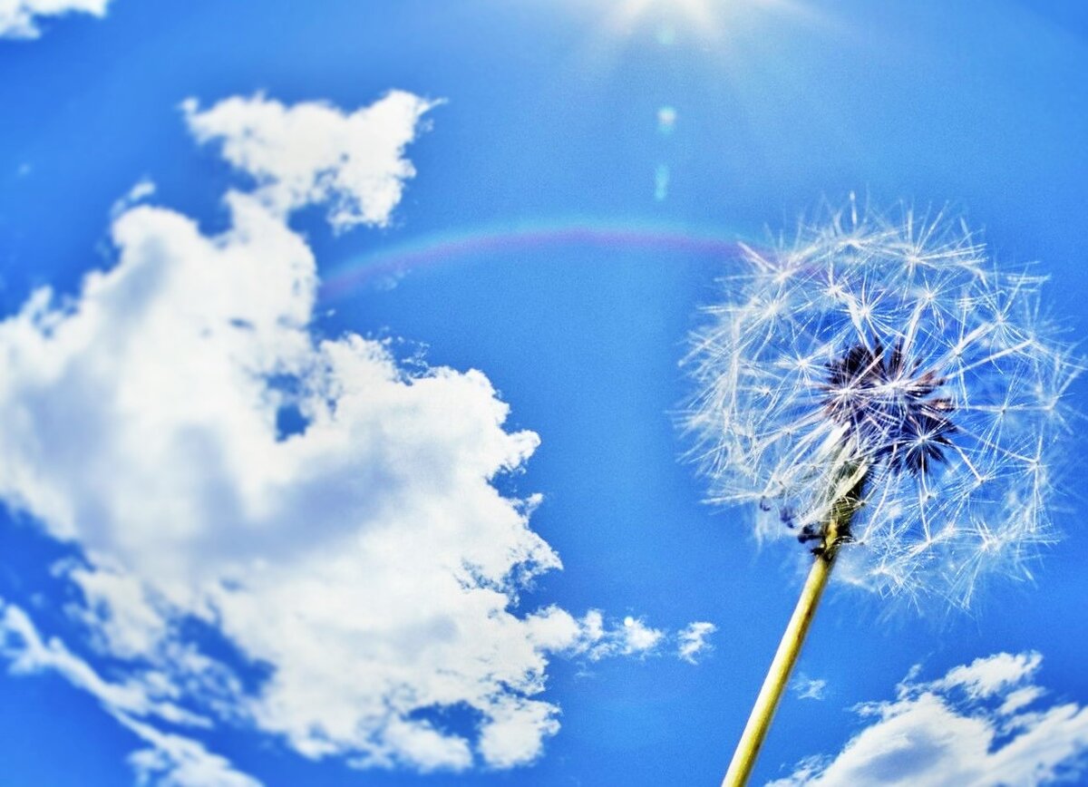 Изображение из открытого источника, отредактировано