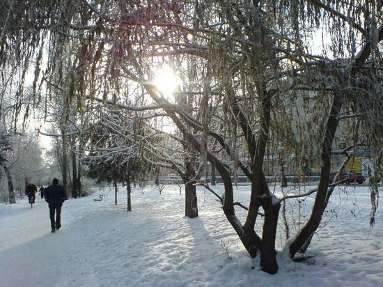     Мороз в Саратове. Фото: saratov.mk.ru "МК в Саратове"