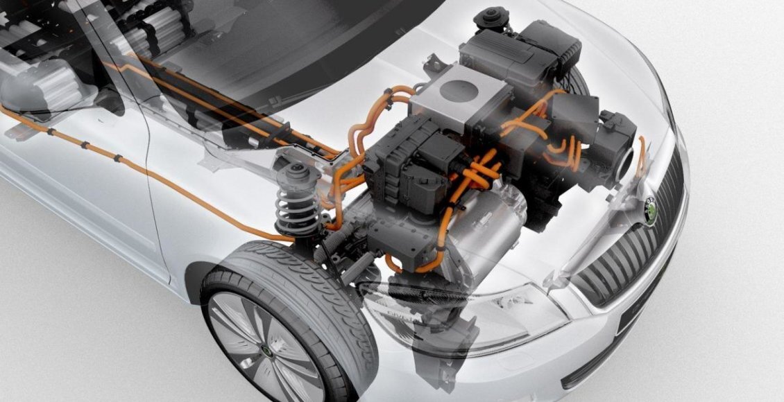    Фото: из открытых источников