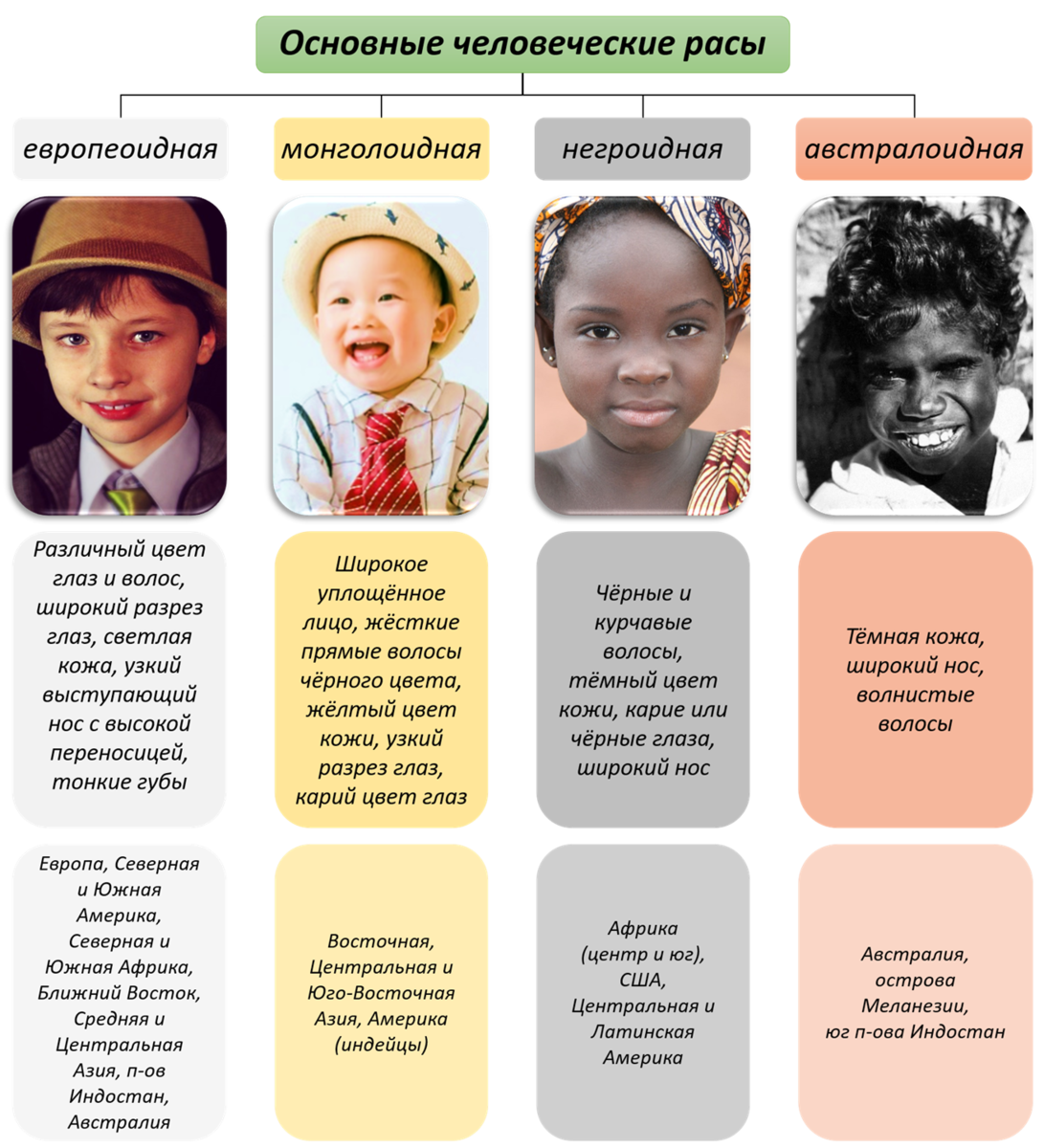 Какие люди есть в мире. Европеоид монголоид негроид. Европеоидная монголоидная негроидная австралоидная. Раса негроид монголоид. Представители разных рас.
