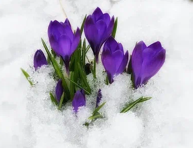 Источник изображения - Яндекс-картинки.