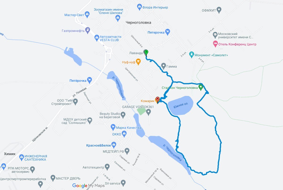 наш маршрут на карте, старт (зеленая точка) недалеко от автовокзала (забыла сказу включить трек), финиш (красная точка) в кафе, где мы пообедали. 