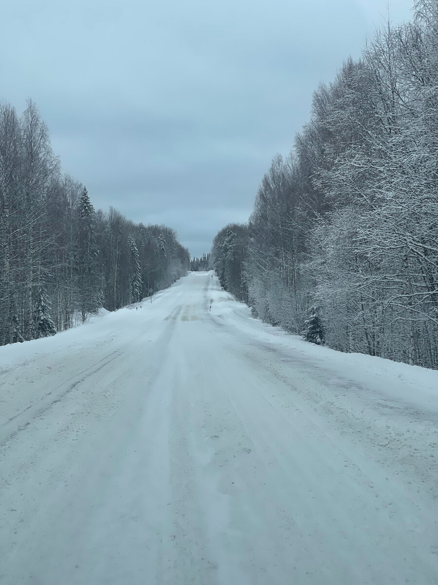 Архангельск плесецк на машине. Каргополь Плесецк. Архангельск дорога. Происшествия Каргополь. Архангельск Плесецк.