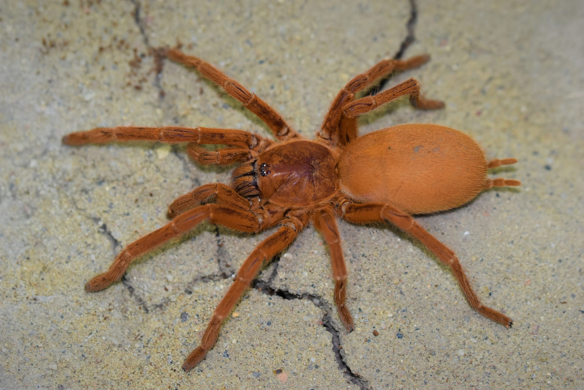 фото из Интернета 