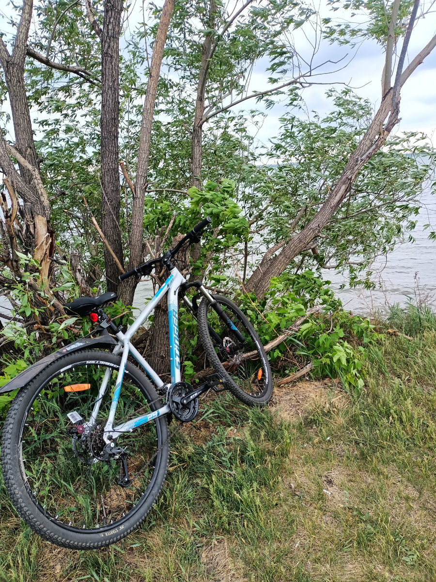 Не люблю название железный конь. Это техника. Мой велосипедик. 