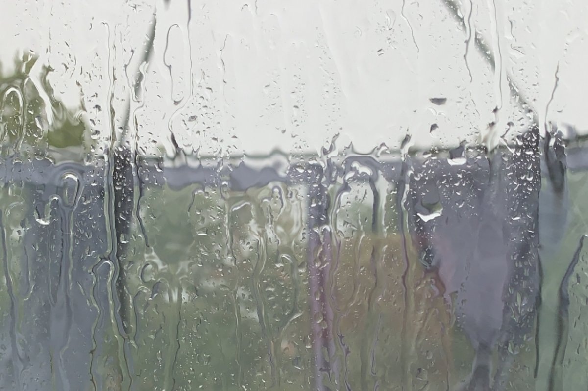    МЧС предупреждает о сильном дожде в Тверской области