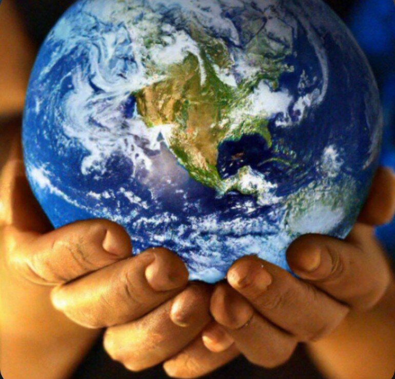 Жизнь на Земле: от микробов до человека