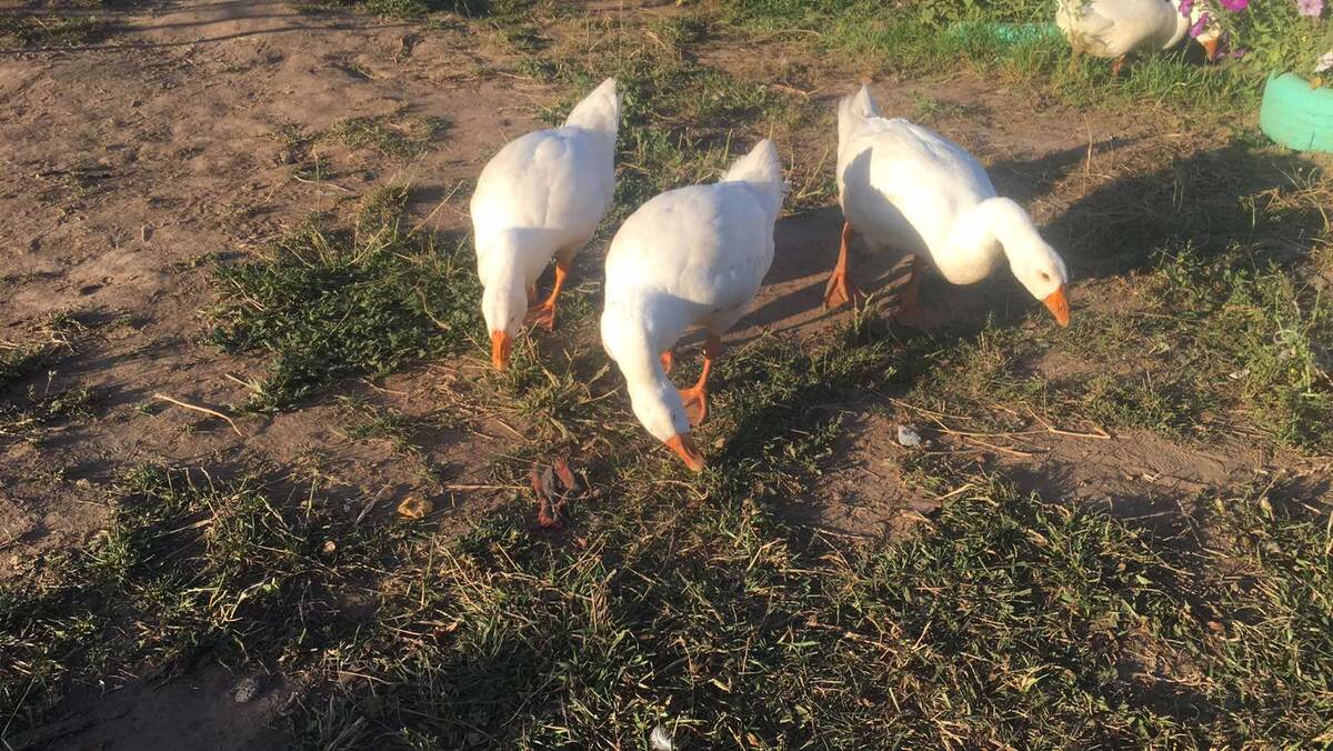 Фото с личного архива