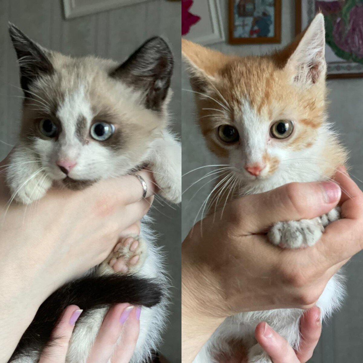 Малыши с овощебазы