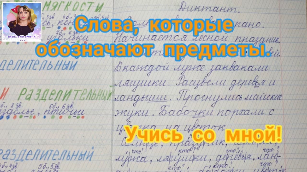 Слова, которые обозначают предметы. Диктант по русскому языку. Оставайтесь  дома!