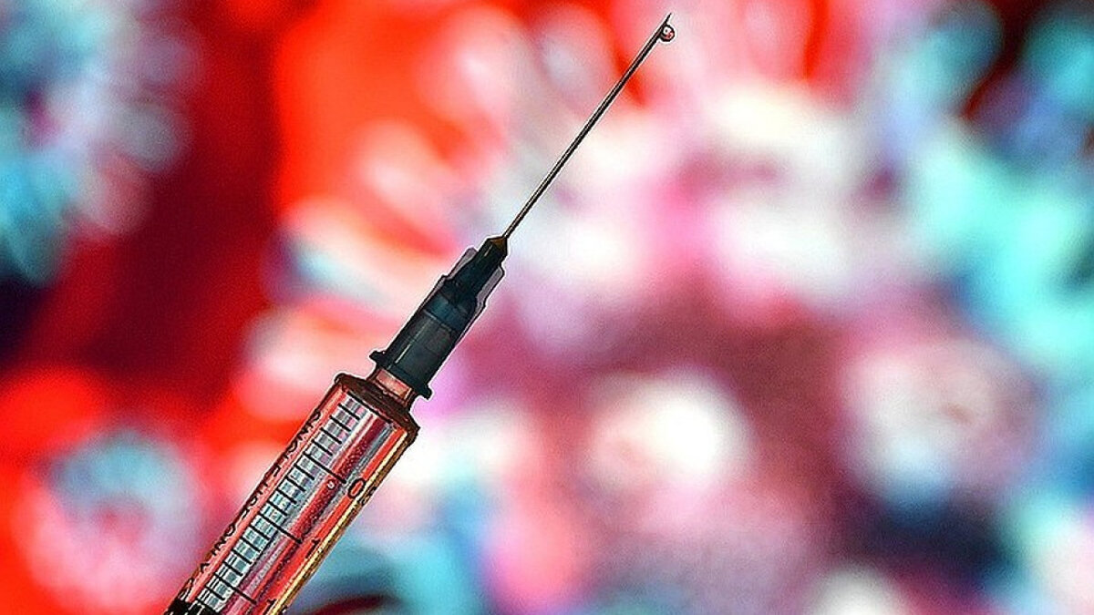 Фото из открытых источников.