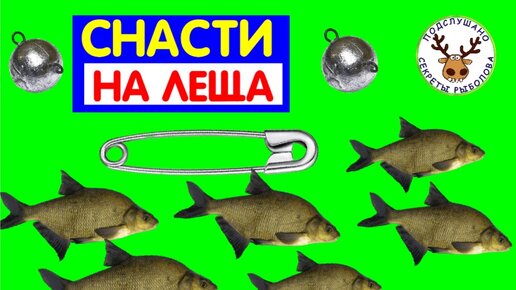 Авторская снасть на леща для ловли с лодки. Подробная инструкция, как ...