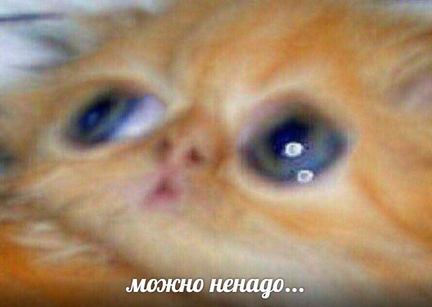 Бурундуковский коксохим