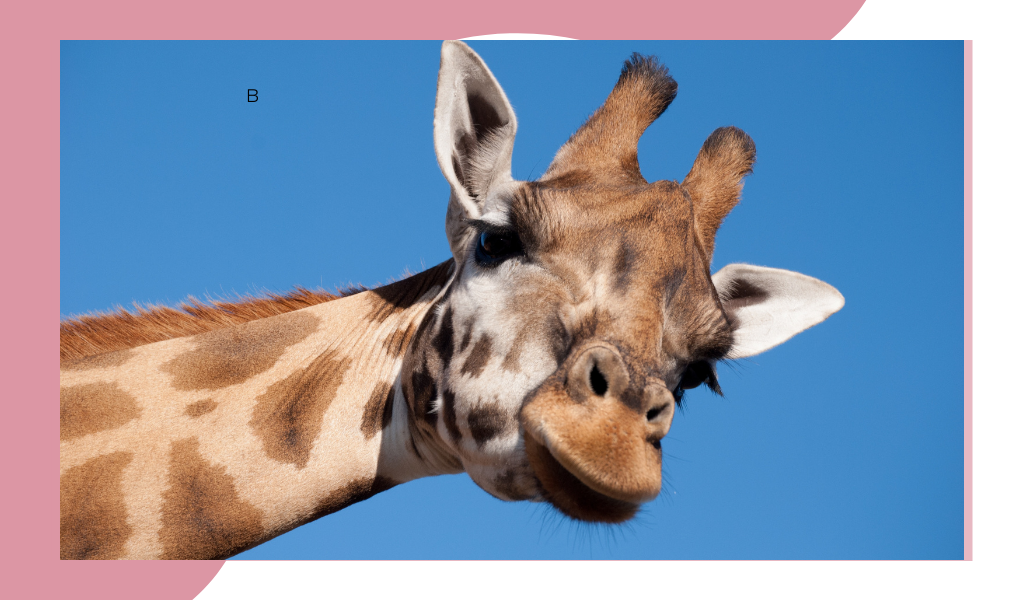 Фотография из открытых источников