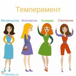4 типа темперамента 
