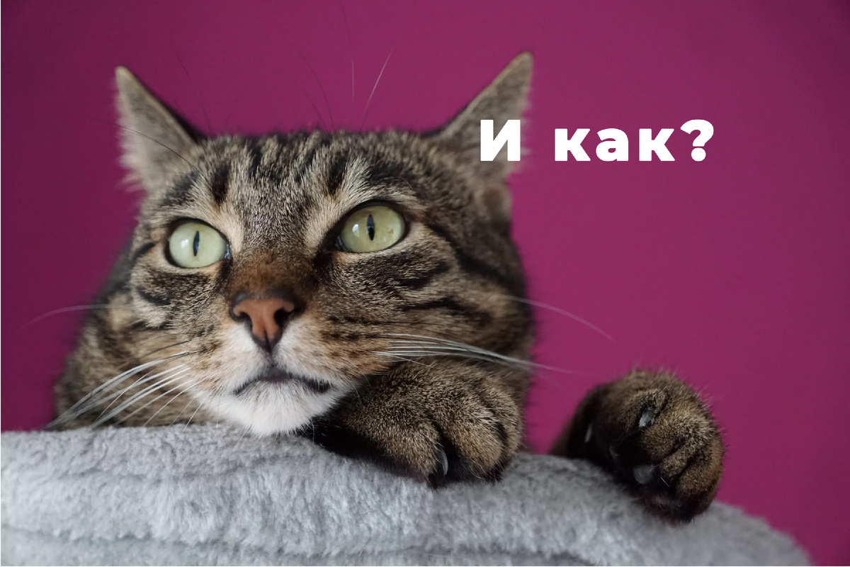 Разбираем на практике.