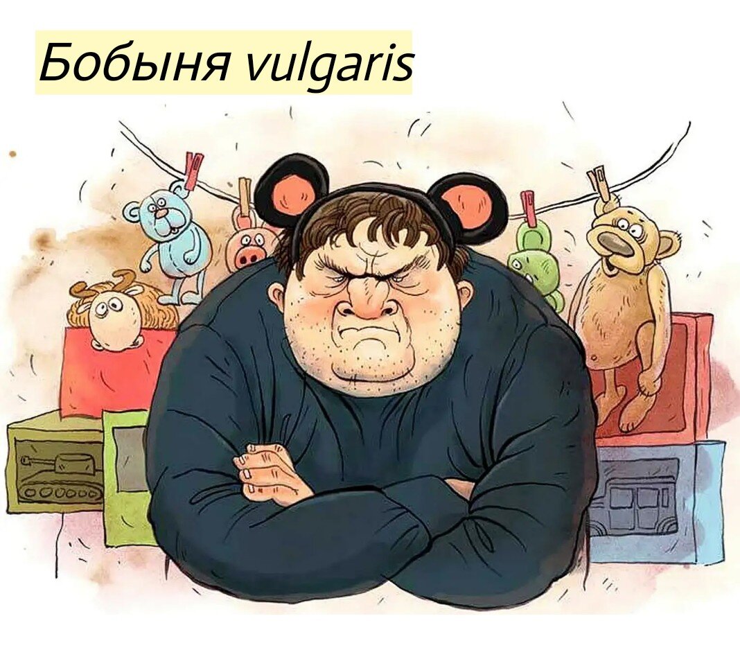 Иллюстрация: https://zebra-tv.ru