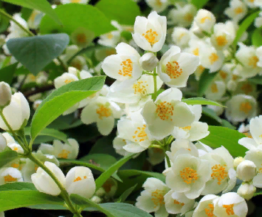 источник:яндекс картинки 