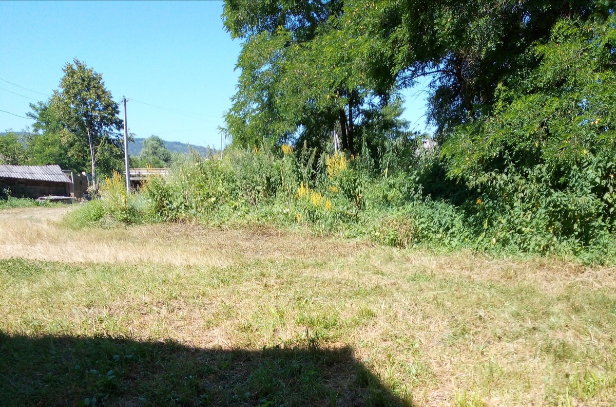 Слева оставила соседям, поделив поровну все.