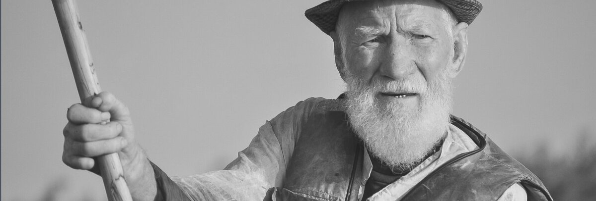 Изображение создано автором в Canva