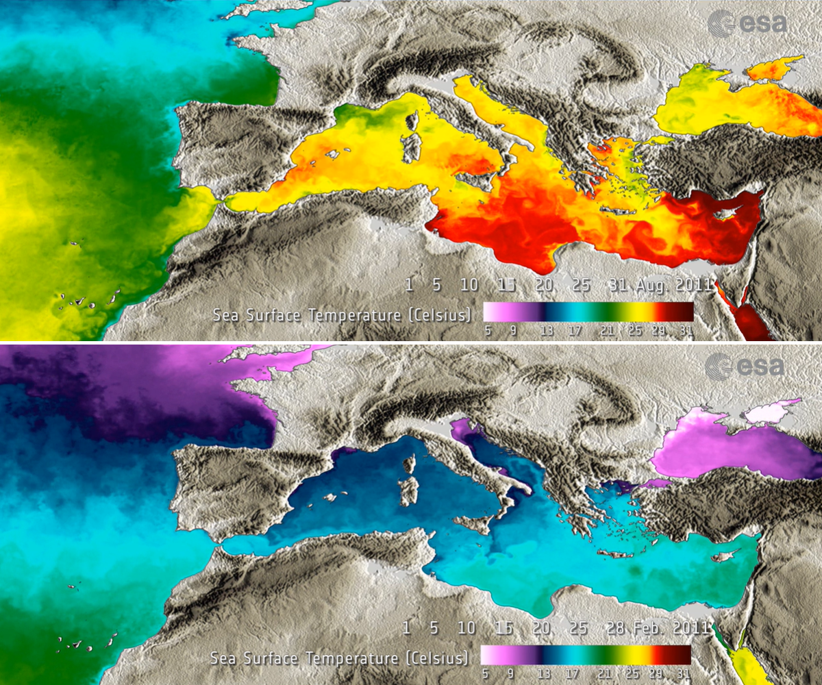 Средиземное море: рекордная температура воды за всю историю - Наука 