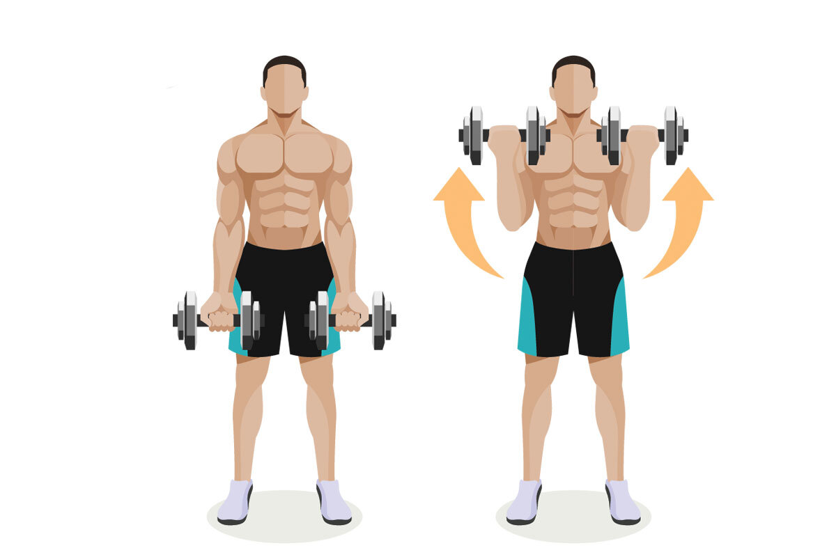 Подъем гантелей на бицепс стоя
