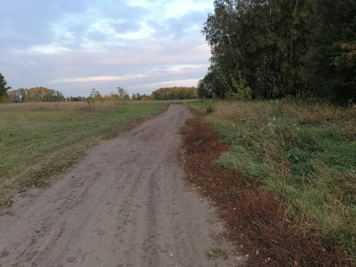 Фото автора.
