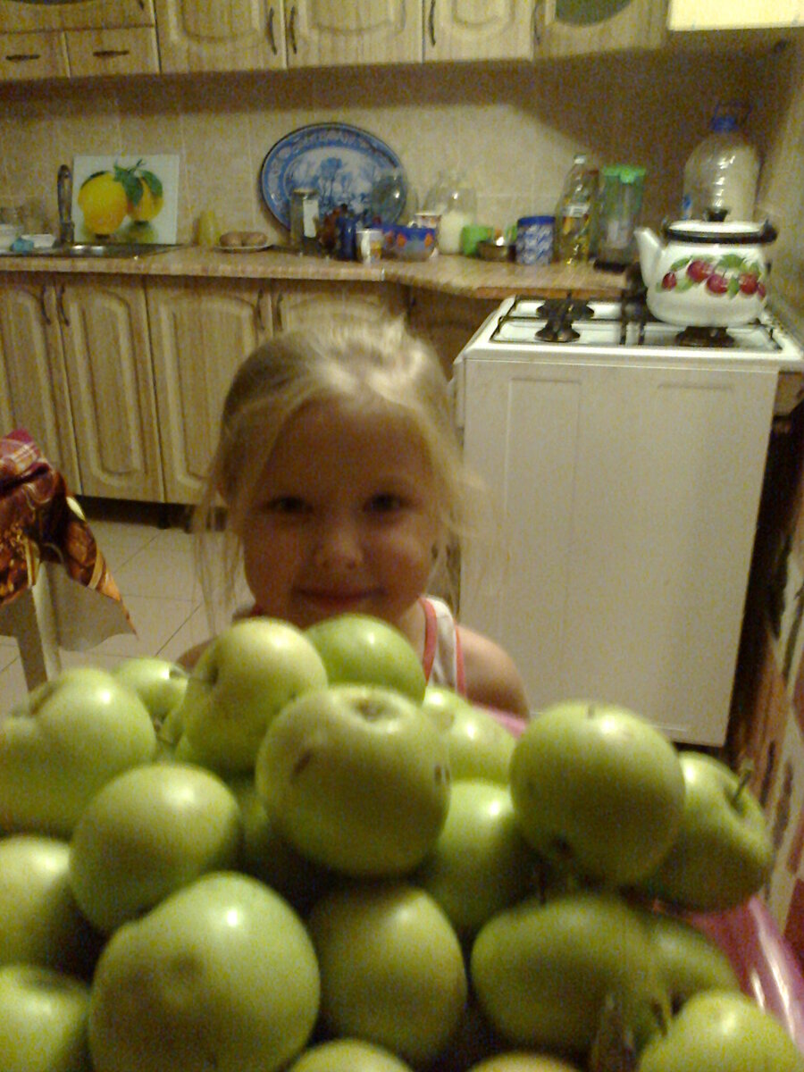 Яблочный урожай какого-то из прошлых годов.