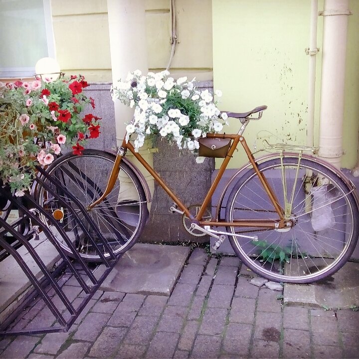 Фото: Козынцева У.