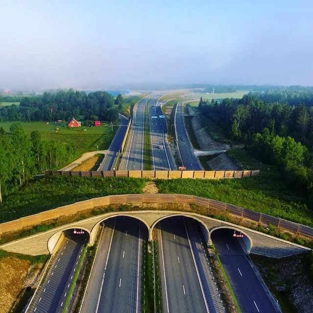 Источник фото: inst. @shepkatoys