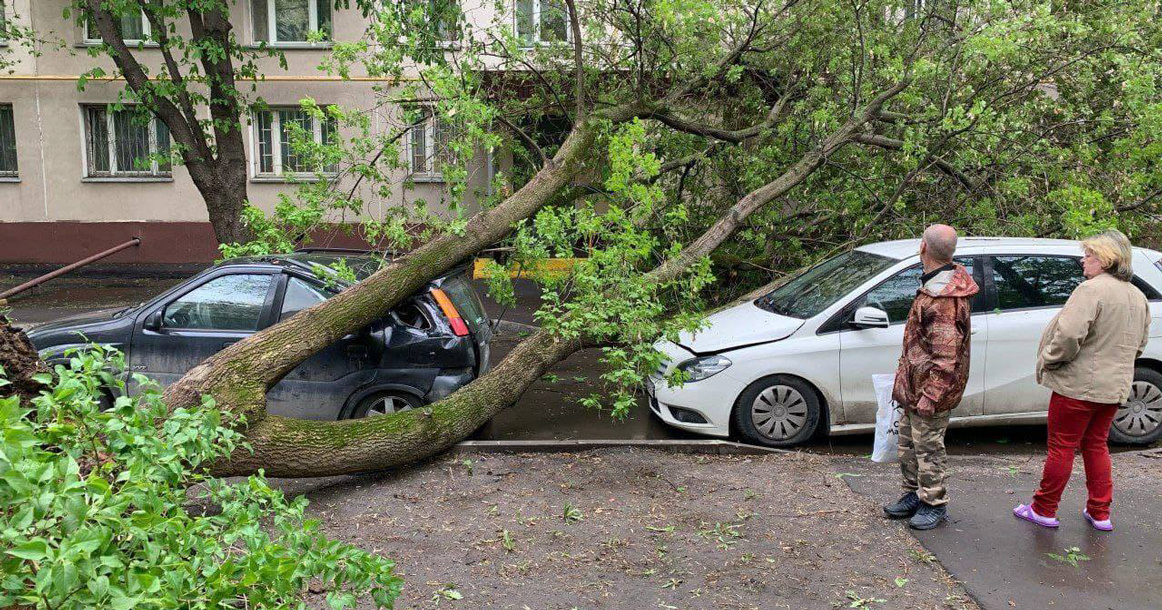 Ураган в Москве 2018г.