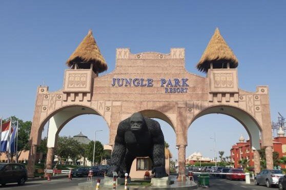 Фото из свободных источников