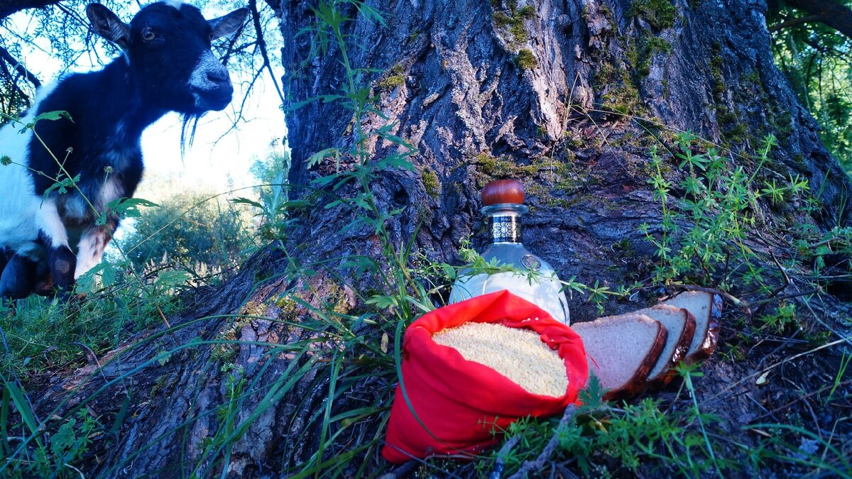 Дар лесным духам должен нести в себе энергию человеческих рук и отпечаток его созидательного труда.