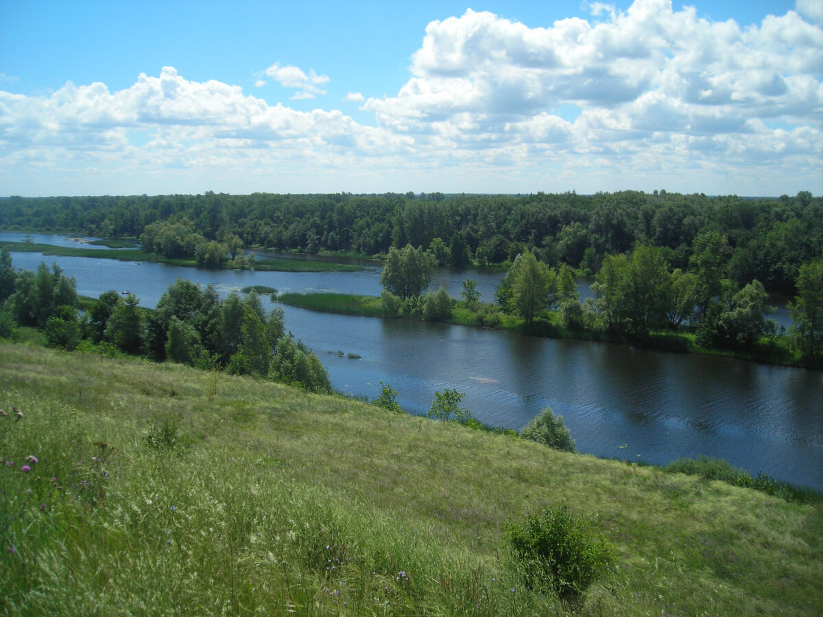 Севрюкаево 2007г