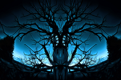 Фотокартина Игоря Потёмкина