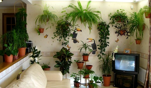 Добавьте описание