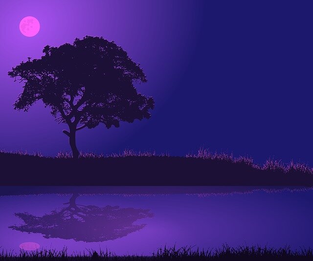 Изображение aalmeidah с сайта Pixabay