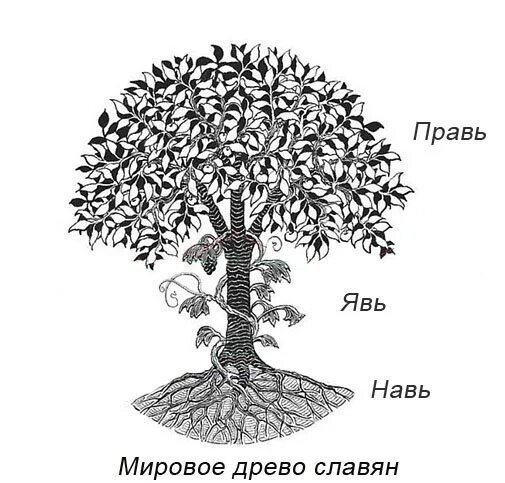 Оплодотворил мировое древо. Явь Навь Правь. Древо явь Навь Правь. Славянское дерево мира. Правь явь и Навь три мира славян.