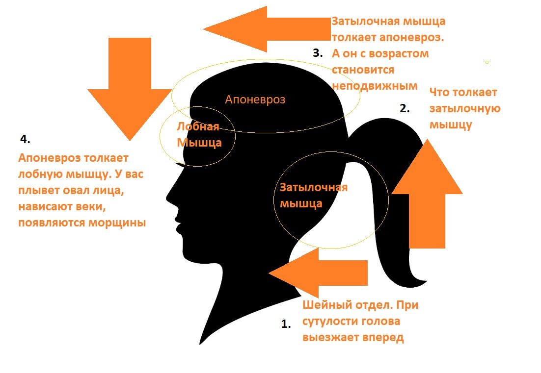 Вот такая вот сложная система у нас получается