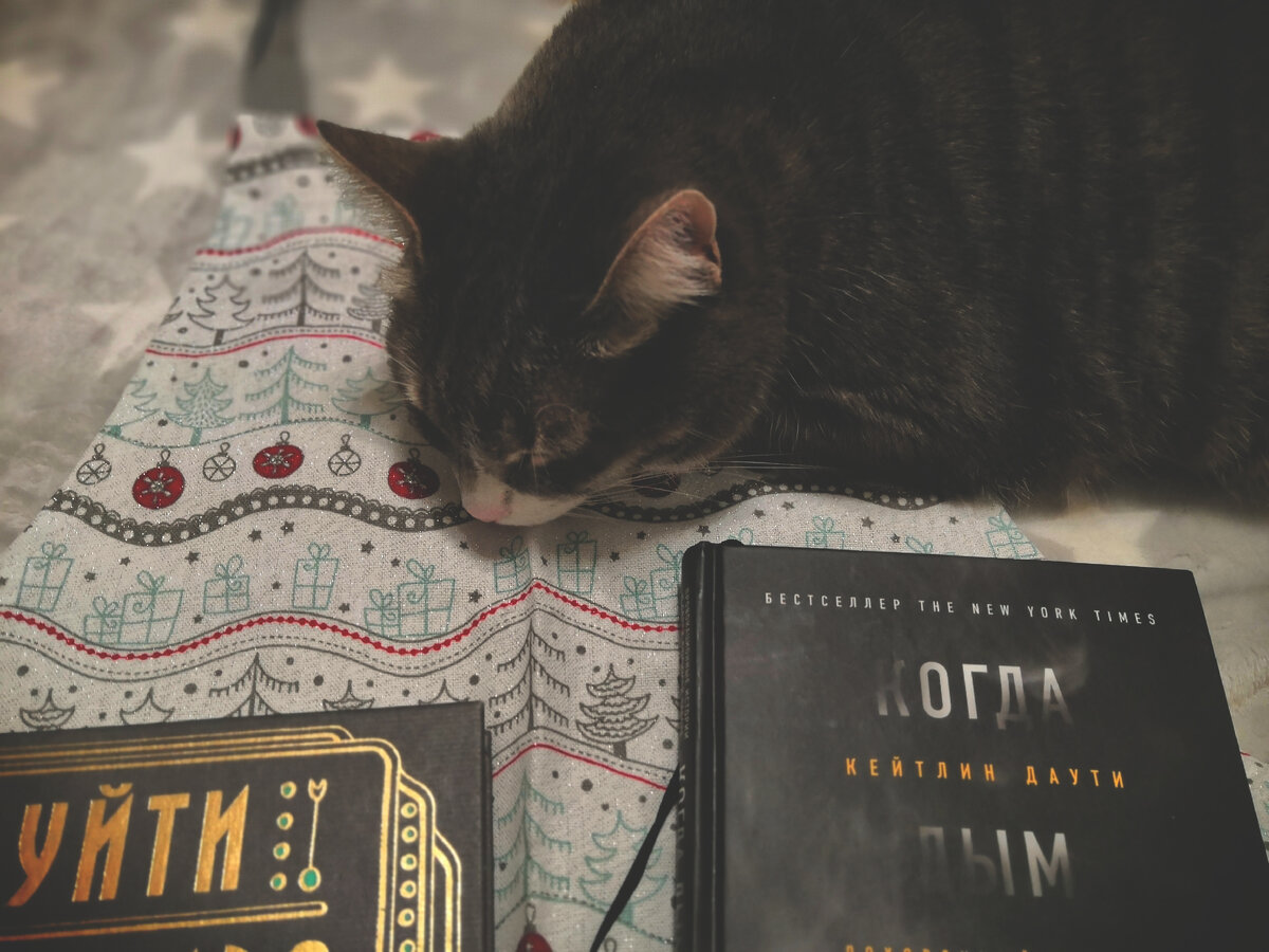 Спящий помощник фотосъёмок