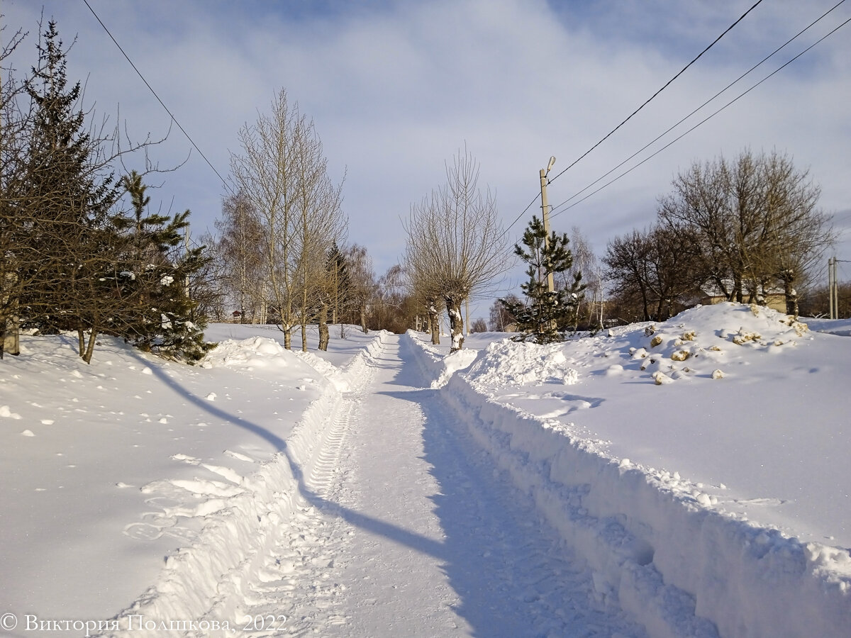 Январь 2022, день заметно прибавился, фото автора