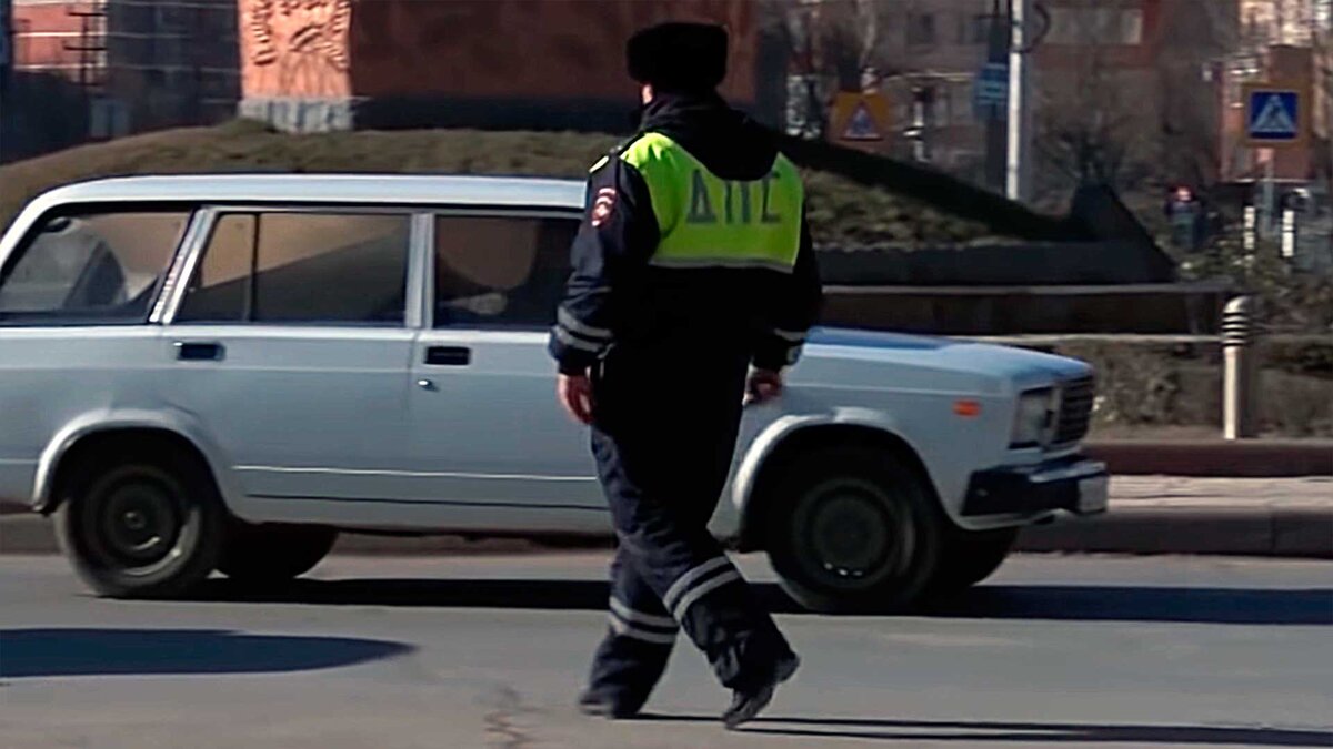 Явно что-то учуял