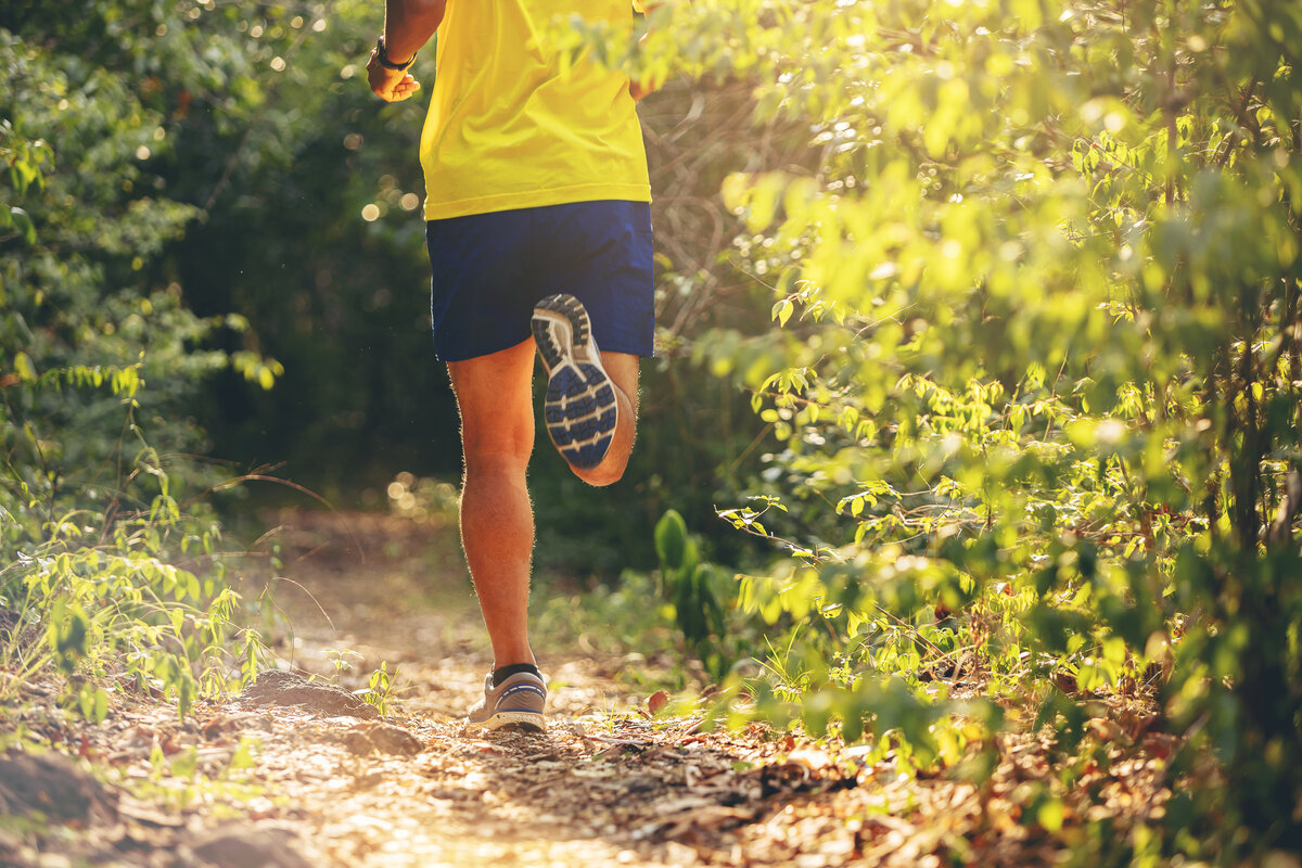 Лесная тропинка для бега. Уличные беговые njhgbyrb. Barefoot Running.