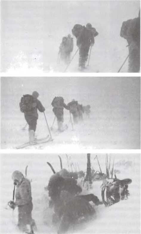 Последние фотографии группы Дятлова. Фото в свободном доступе