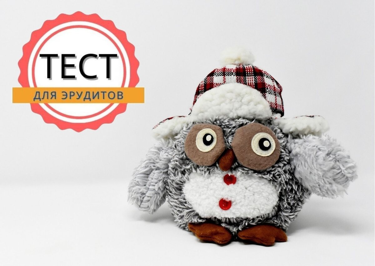 Источник изображения: pixabay.com, фото - Alexas_Fotos, дизайн автора публикации